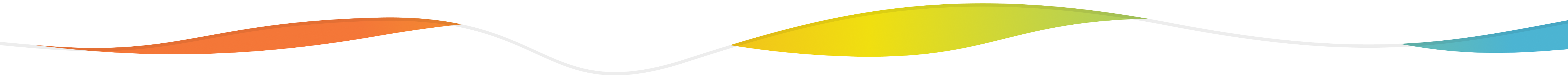 Section Divider